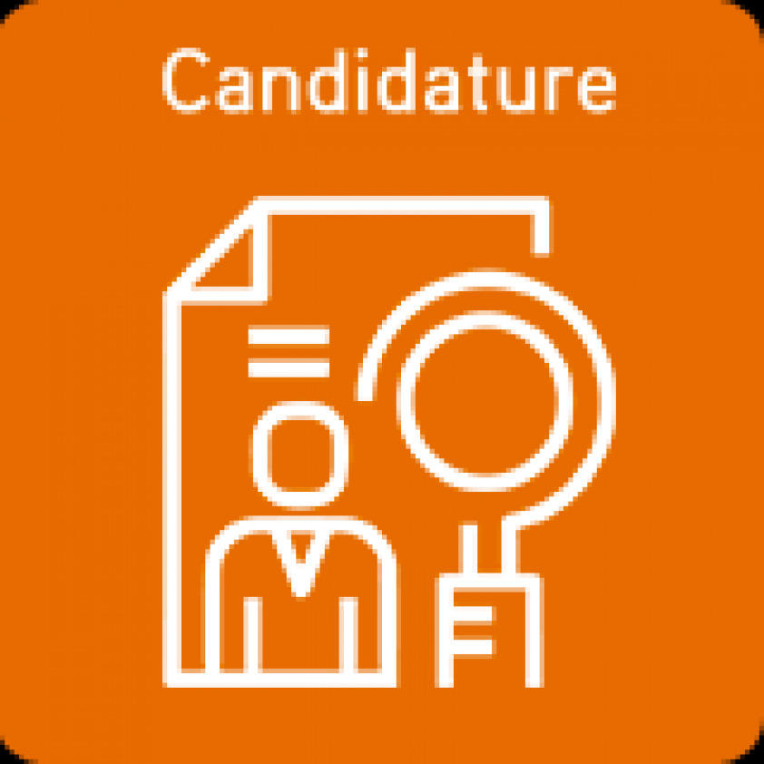 Candidature Coursier